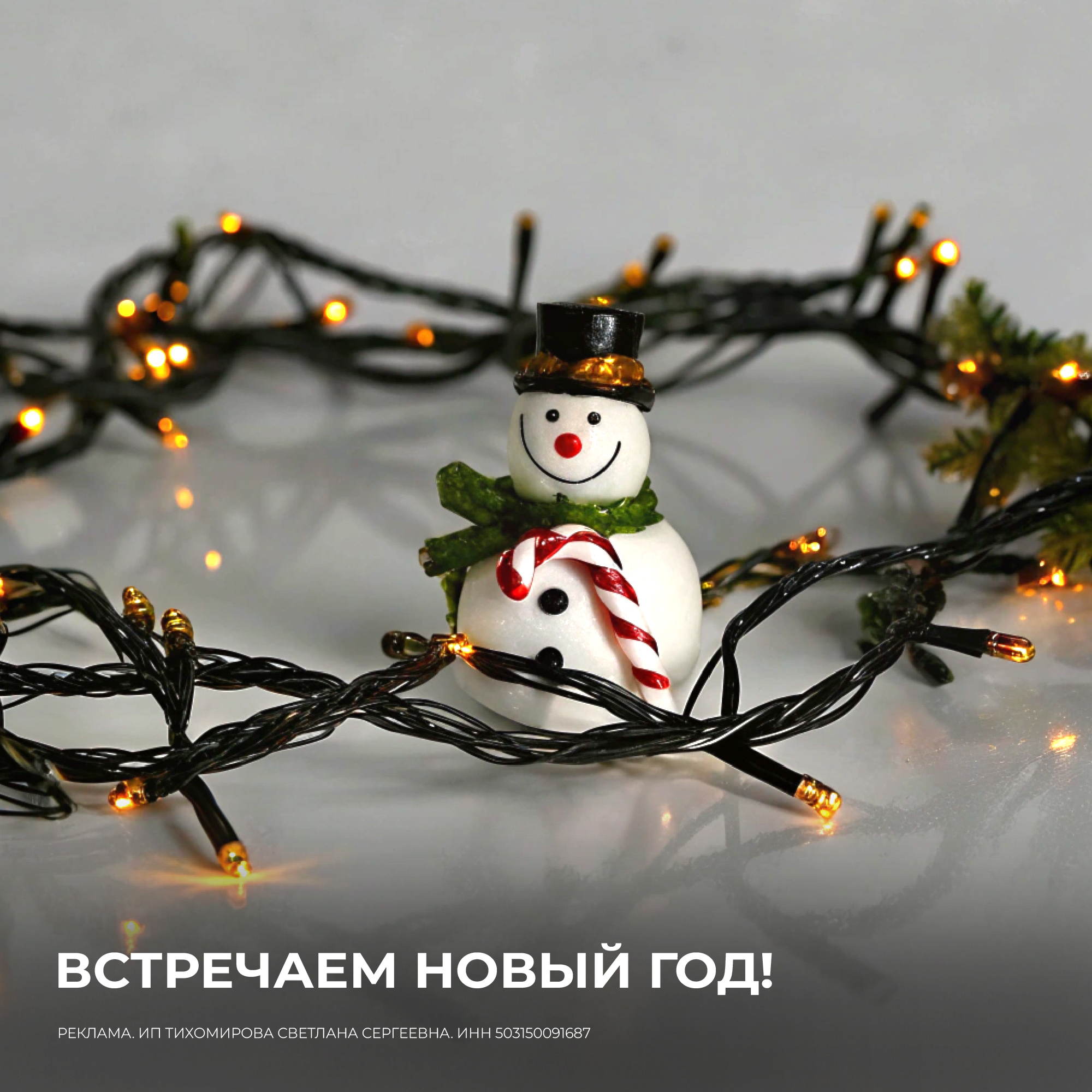 ВСТРЕЧАЕМ НОВЫЙ ГОД!